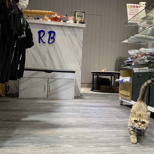 大同區酒泉街鋪塑膠地磚