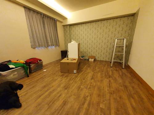 楊梅蘋果路鋪塑膠地磚